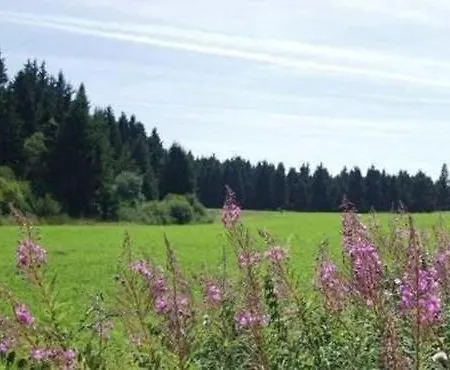 In 30423 Schleusingen